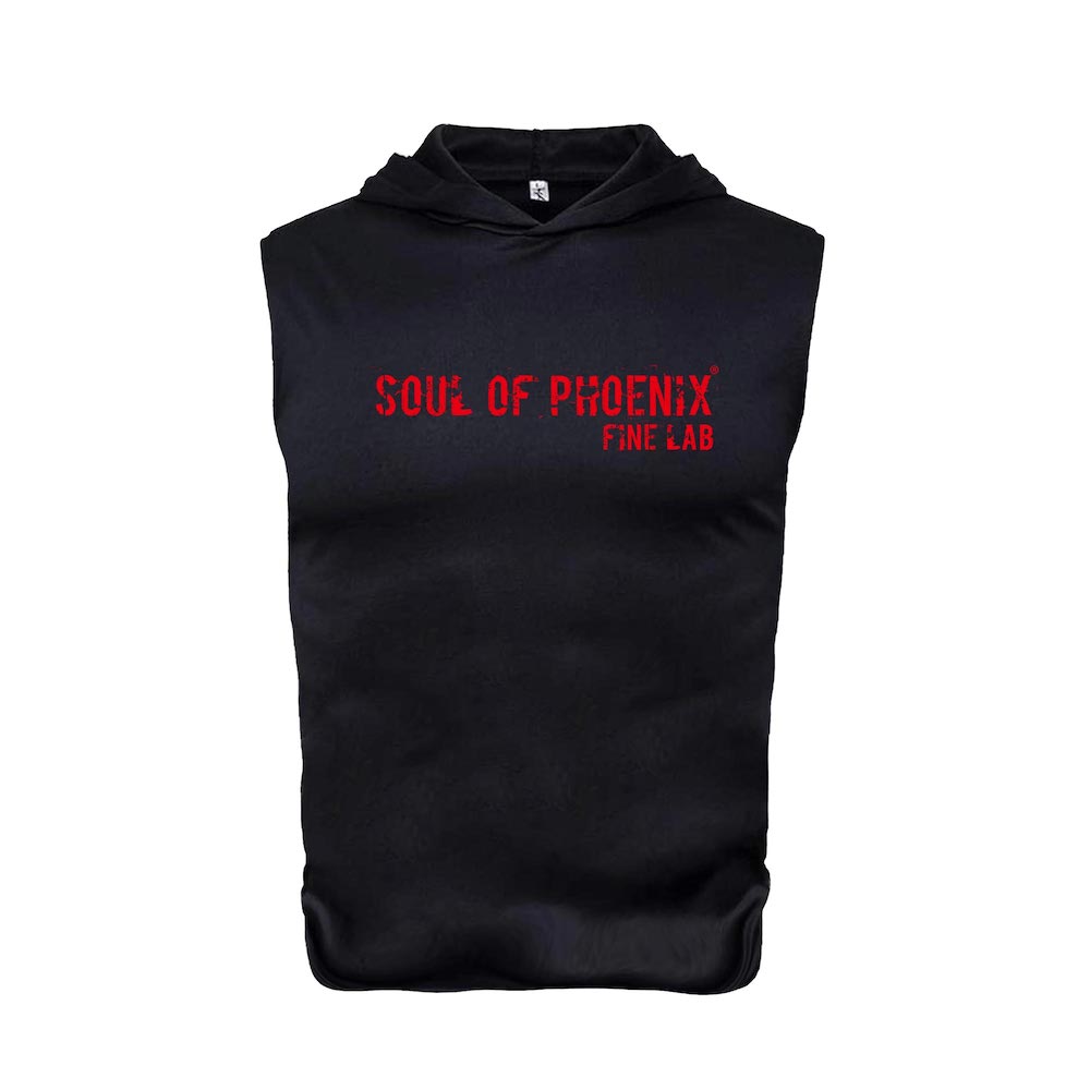 SOUL OF PHOENIXΡ꡼֥ѡ֥åå
