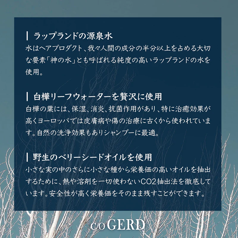 商品写真