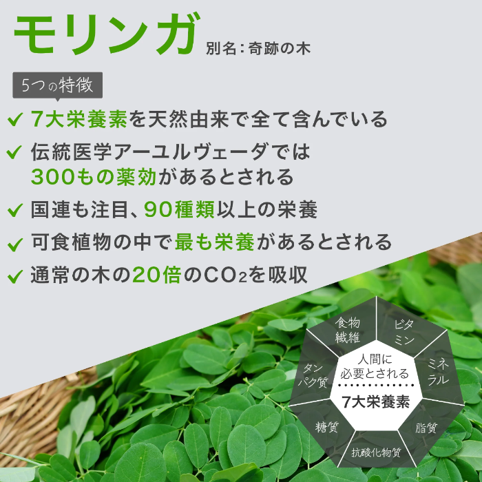 商品写真