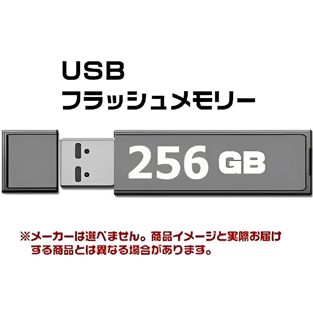 USB 2.0 フラッシュドライブ 256GB MFUF256G2　[4個までメール便OK]　[返品交換不可]|USB2.0|USBメモリ