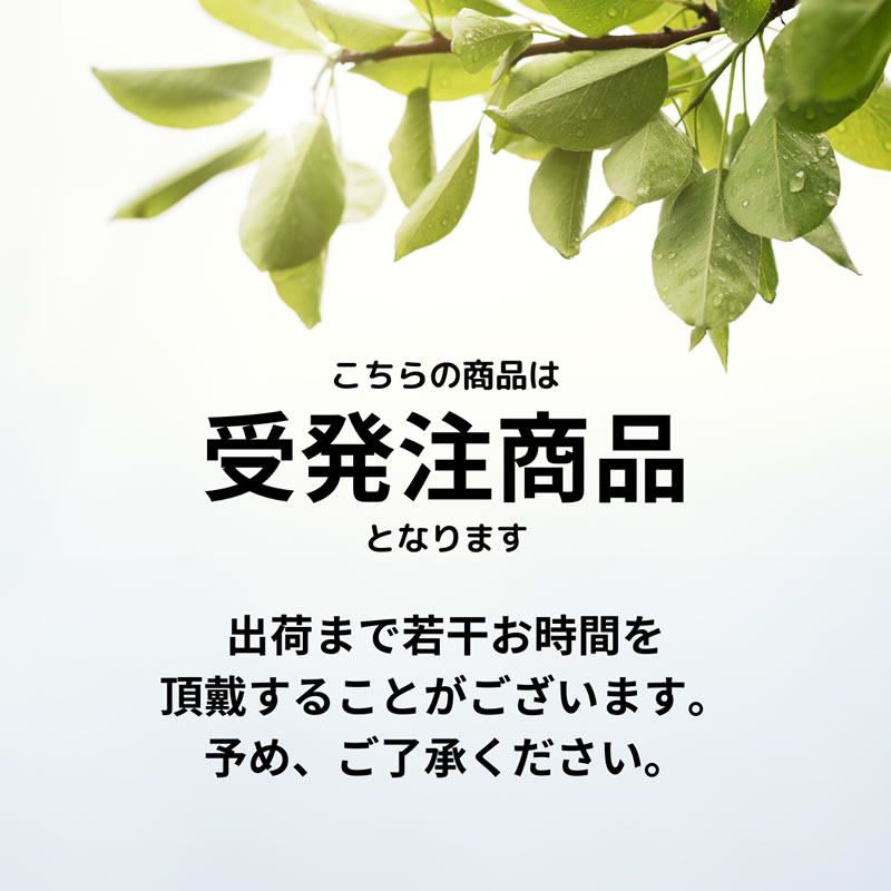 U-Reach ミニシリーズCFカードコピー機 1対1 CF121