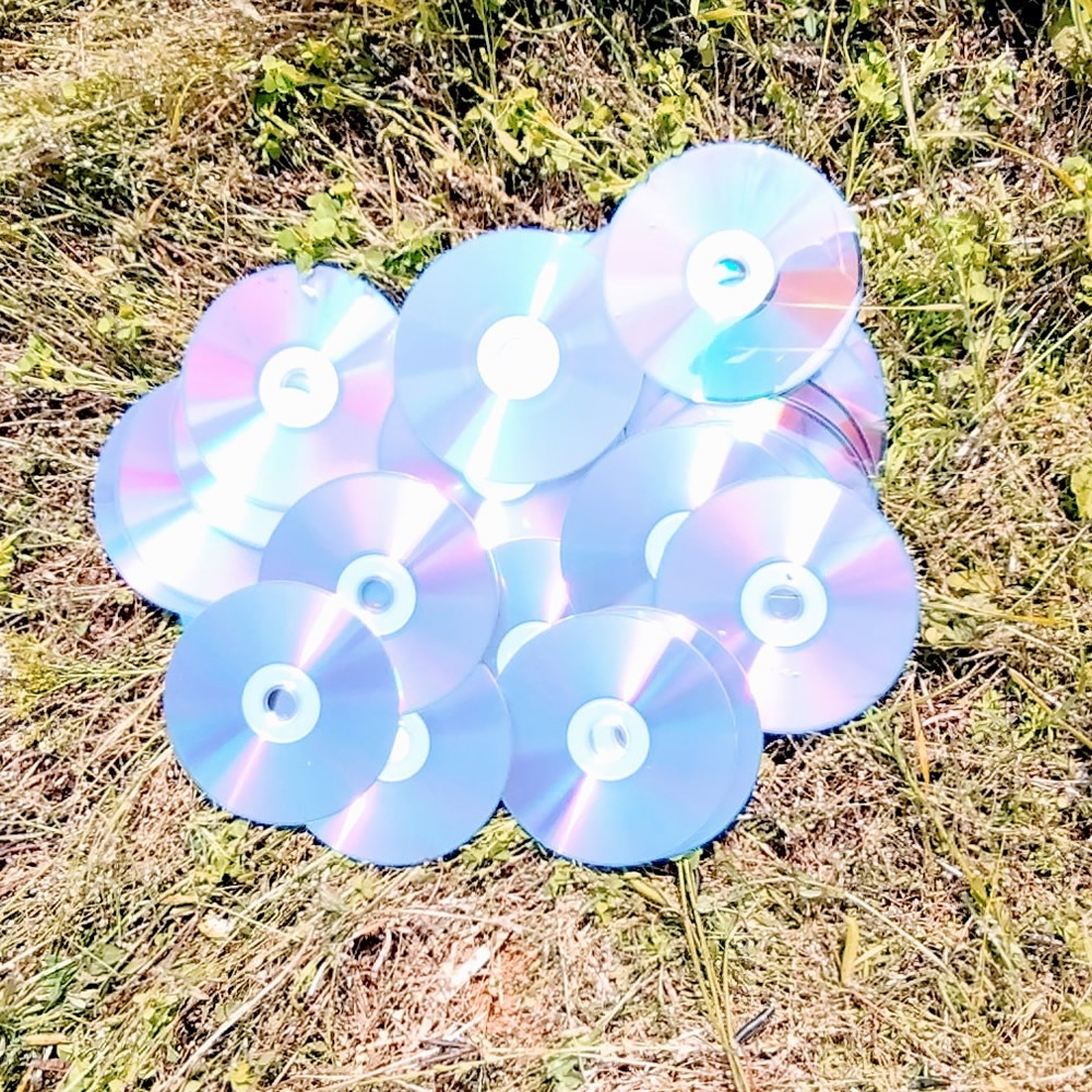 防鳥・鳥よけ用リユースCD（100枚セット）