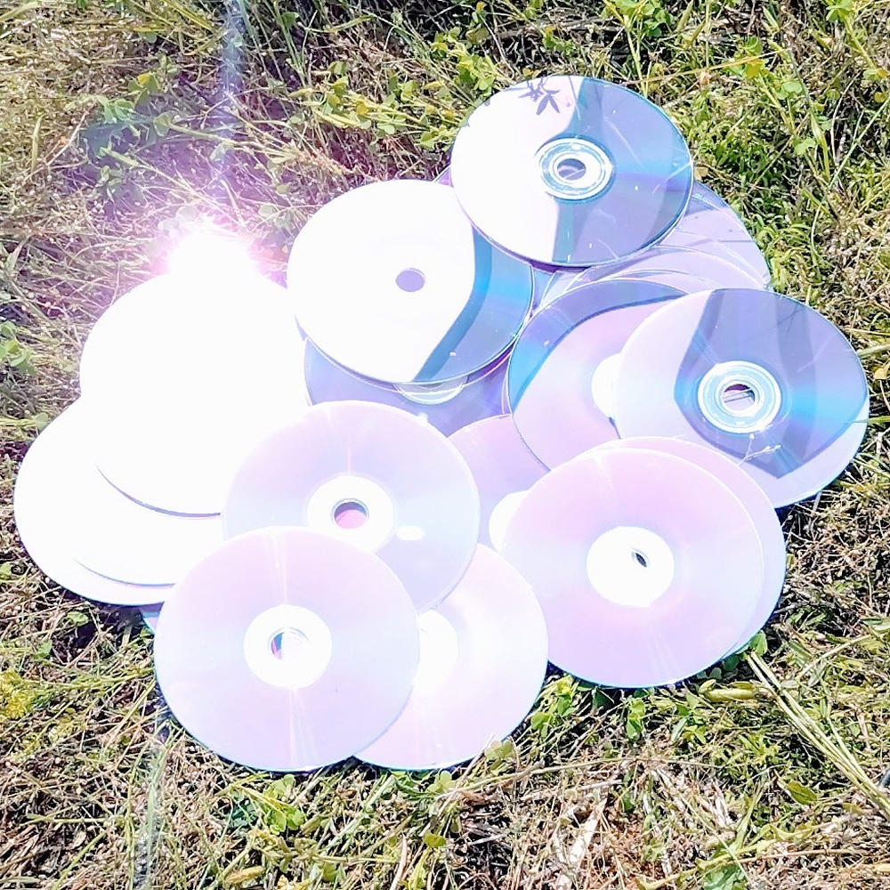 防鳥・鳥よけ用リユースCD（100枚セット）