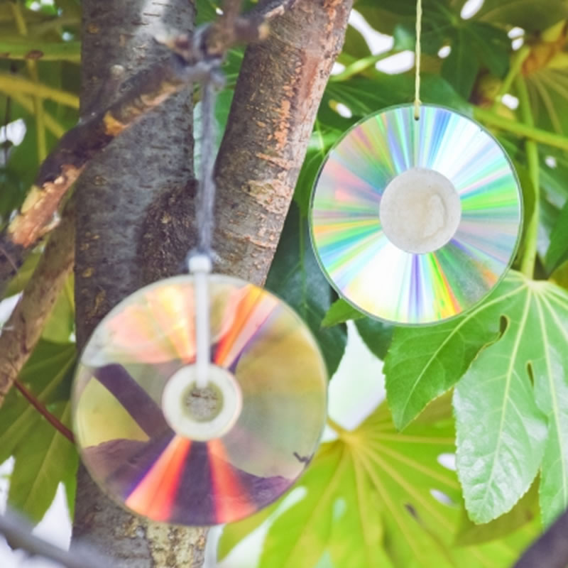 防鳥・鳥よけ用リユースCD（100枚セット）