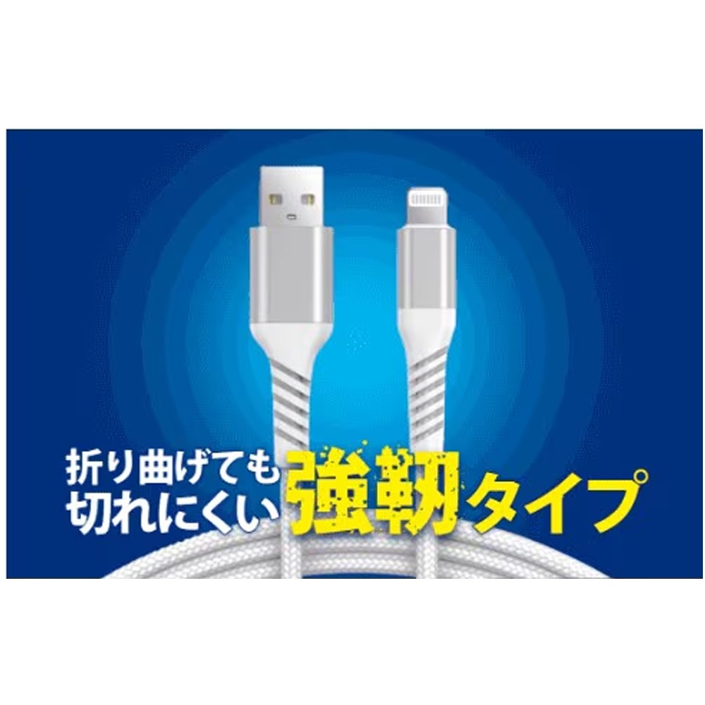 【リファービッシュ】HIDISC MFI認証 急速充電＆データ転送 折り曲げに強い 強靭 Lightning USBケーブル 2m ブラック R-GO-TFLAC2BK