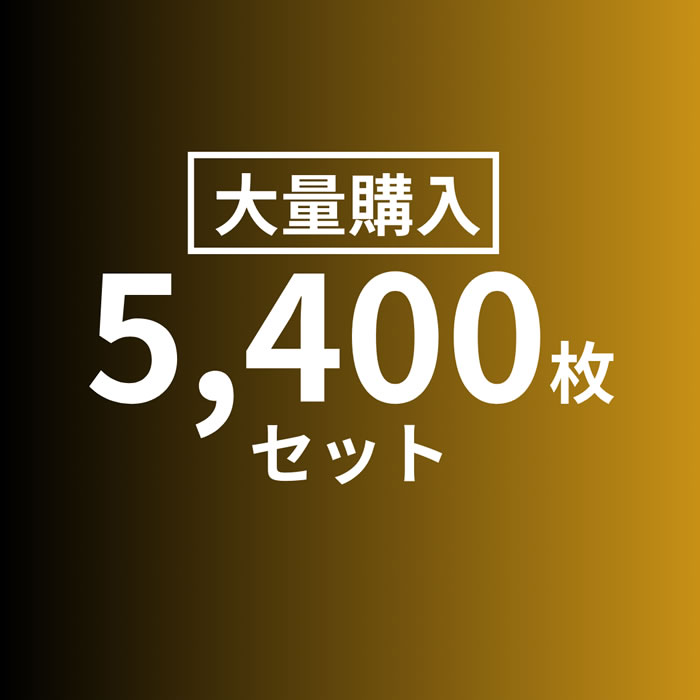 【アウトレット】業務用パック5400枚セット☆DVD-Rデータ用100枚シュリンクパック×54個