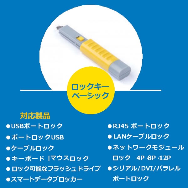 HIDISC SmartKeeper ESSENTIALシリーズ LANポート (RJ45 ポート)ロック 10個 プラス ロック解除キー(Lock Key Basic) セット ブラック HDNL03PKBK