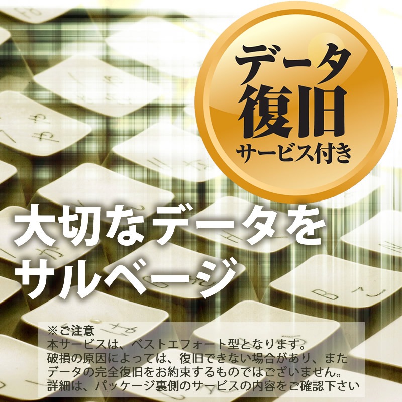 【データ復旧サービス付】HIDISC microSDXCカード 512GB CLASS10 UHS-1対応 SD変換アダプタ/ケース付 HDMCSDX512GCL10DS