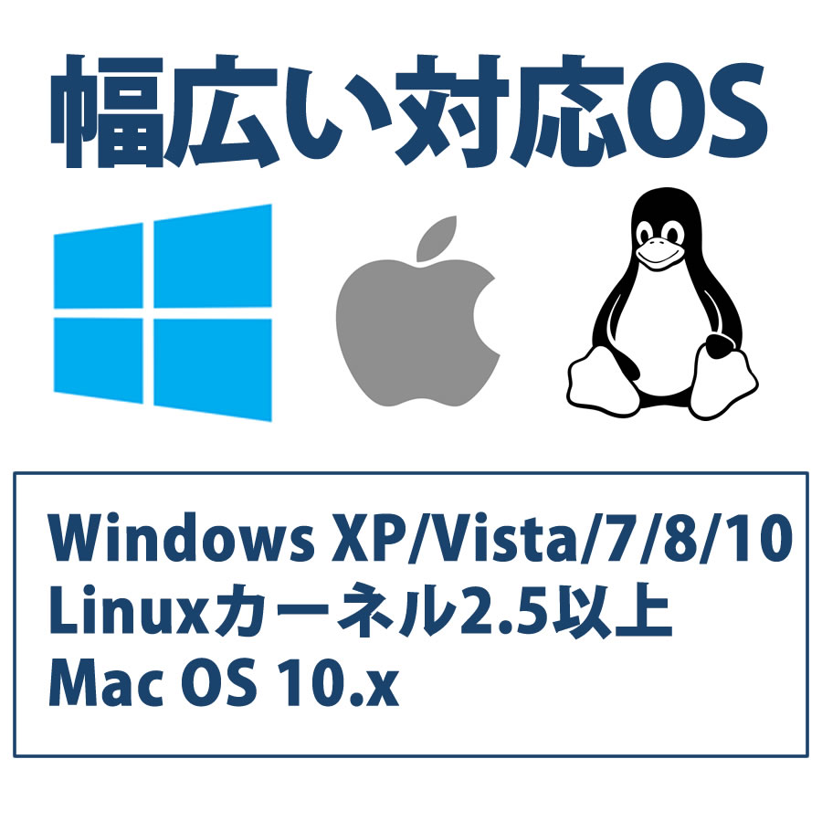 【データ復旧サービス付】HIDISC USB2.0 フラッシュドライブ 64GB 白 キャップ式　HDUF137C64G2DS