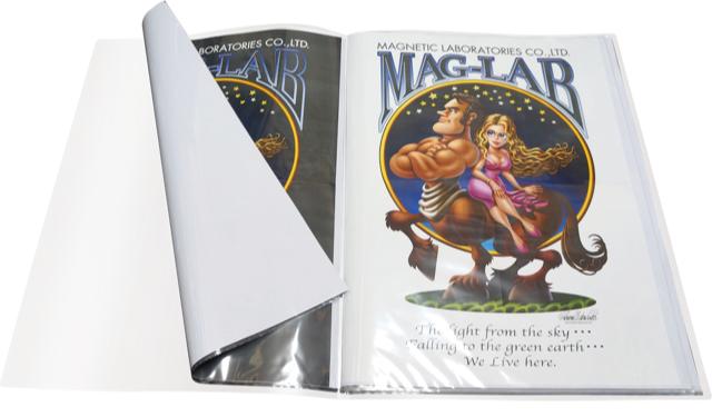 化物語シリーズ　B2ポスター　17枚まとめ売り　専用ファイル付き 化物語シリーズ B2ポスター 17枚まとめ売り 専用ファイル付き 化物語