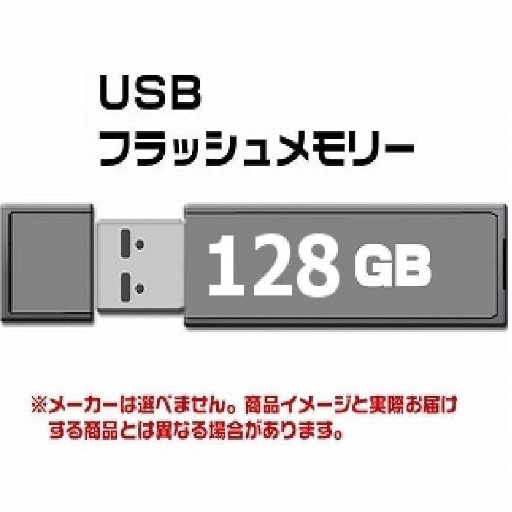 USB 2.0 フラッシュドライブ 128GB MFUF128G2　[4個までメール便OK]　[返品交換不可]