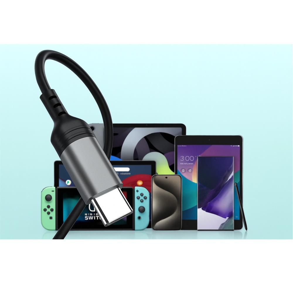 USB Type-Cゲーム＆カラオケ対応（マイク搭載）有線イヤホン　黒×シルバー　HD-KC0086BK