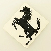Ferrari ���ƥå���(�֥�å�)