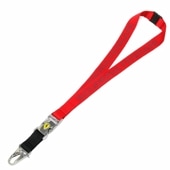 Ferrari ǥꥢ ե顼 FW 䡼