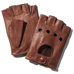 Elvifra 쥶ɥ饤ӥ󥰥(֥饦)