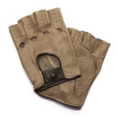 Elvifra 쥶ɥ饤ӥ󥰥(⥫֥饦