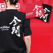 FLATOUT ���ꥸ�ʥ�T����� ������ beyond the limits��