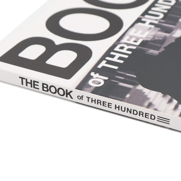 THREEHUNDRED THE BOOK2024