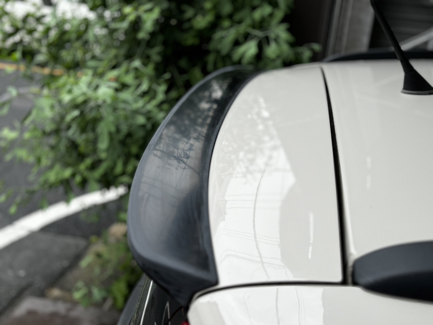 ��piu panda��FLATOUT FIAT PANDA �ꥢ�����ȥ��ݥ��顼������ž夲