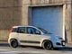 ��piu panda��FLATOUT FIAT PANDA �ꥢ�����ȥ��ݥ��顼������ž夲