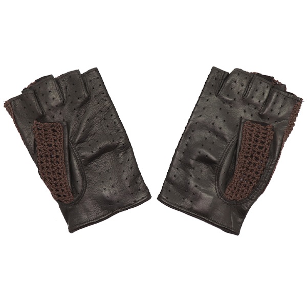 Elvifra ϡեå쥶ɥ饤ӥ󥰥(֥饦