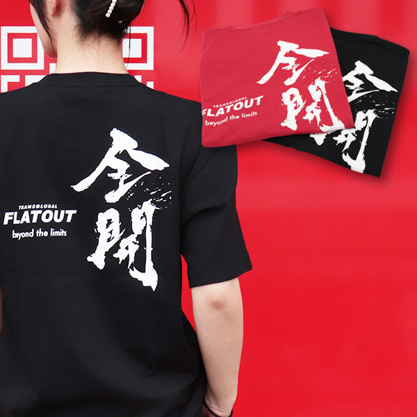 FLATOUT ���ꥸ�ʥ�T����� ������ beyond the limits��