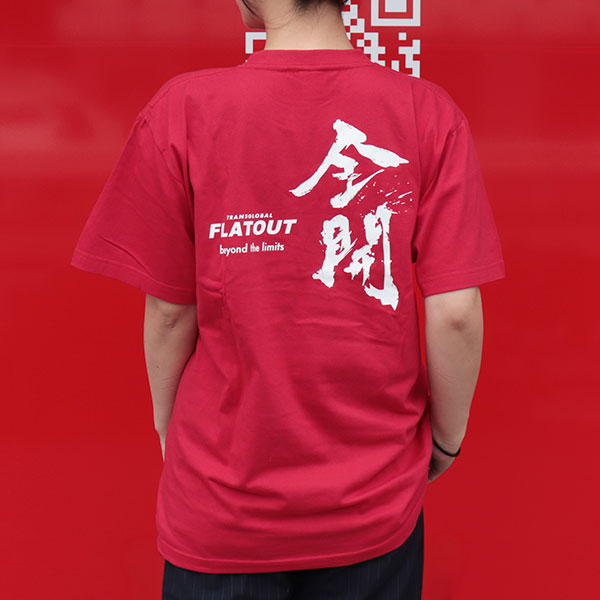 FLATOUT ���ꥸ�ʥ�T����� ������ beyond the limits��