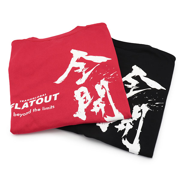 FLATOUT ���ꥸ�ʥ�T����� ������ beyond the limits��