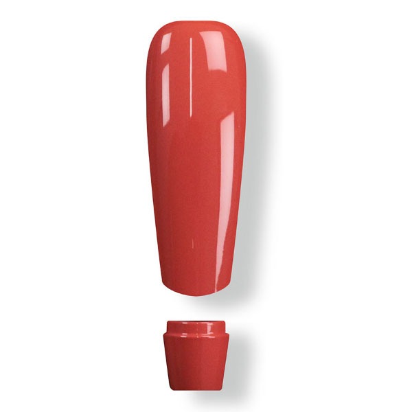 EVE DESIGN FIAT 500 AT���� AT������ ���顼����å� ����/���