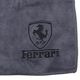 Ferrari �ޥ������ե����С� ������