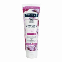 ��COSLYS�ۥ��顼�إ������ס�