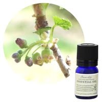 �ڥե졼�С��饤�աۥ֥�å������ȡ����֥���塼�ȡ�10��