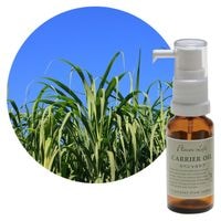 �ڥ���ꥢ������ۥ��奬����������