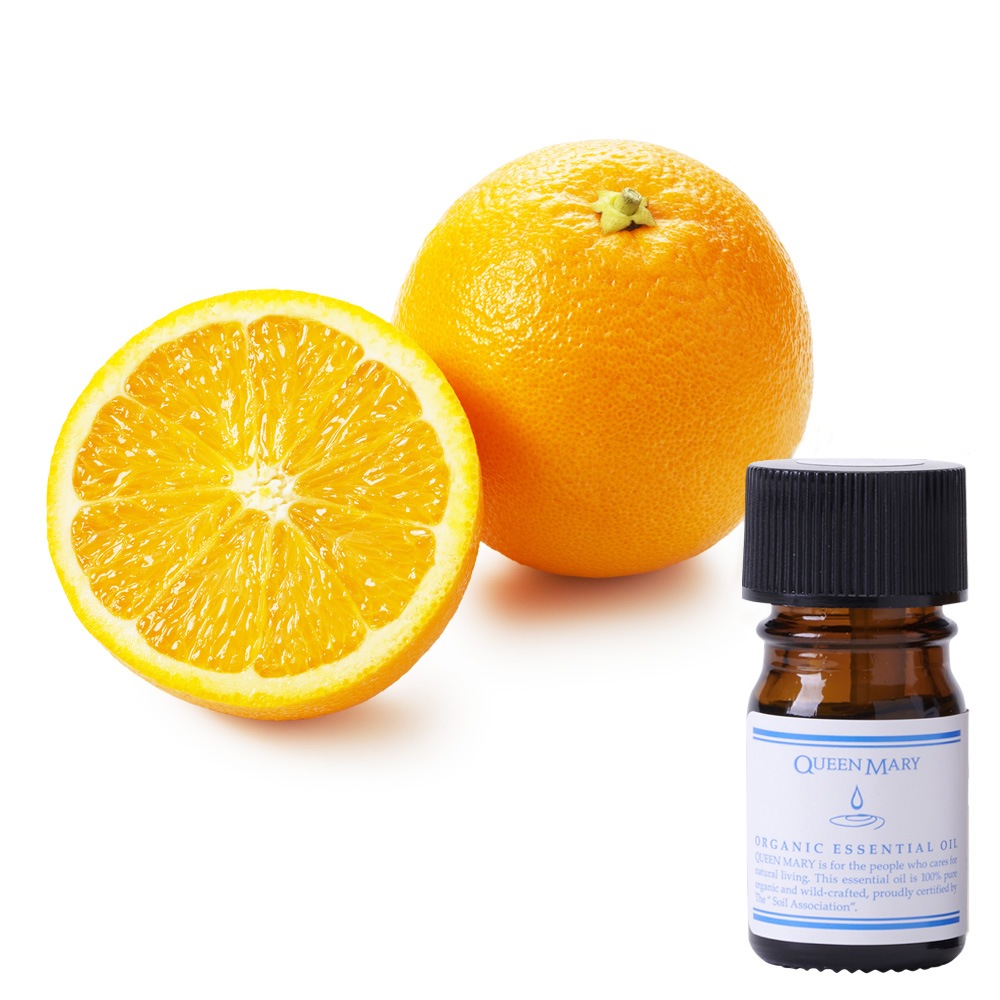 【クイーンメリー】スイートオレンジ