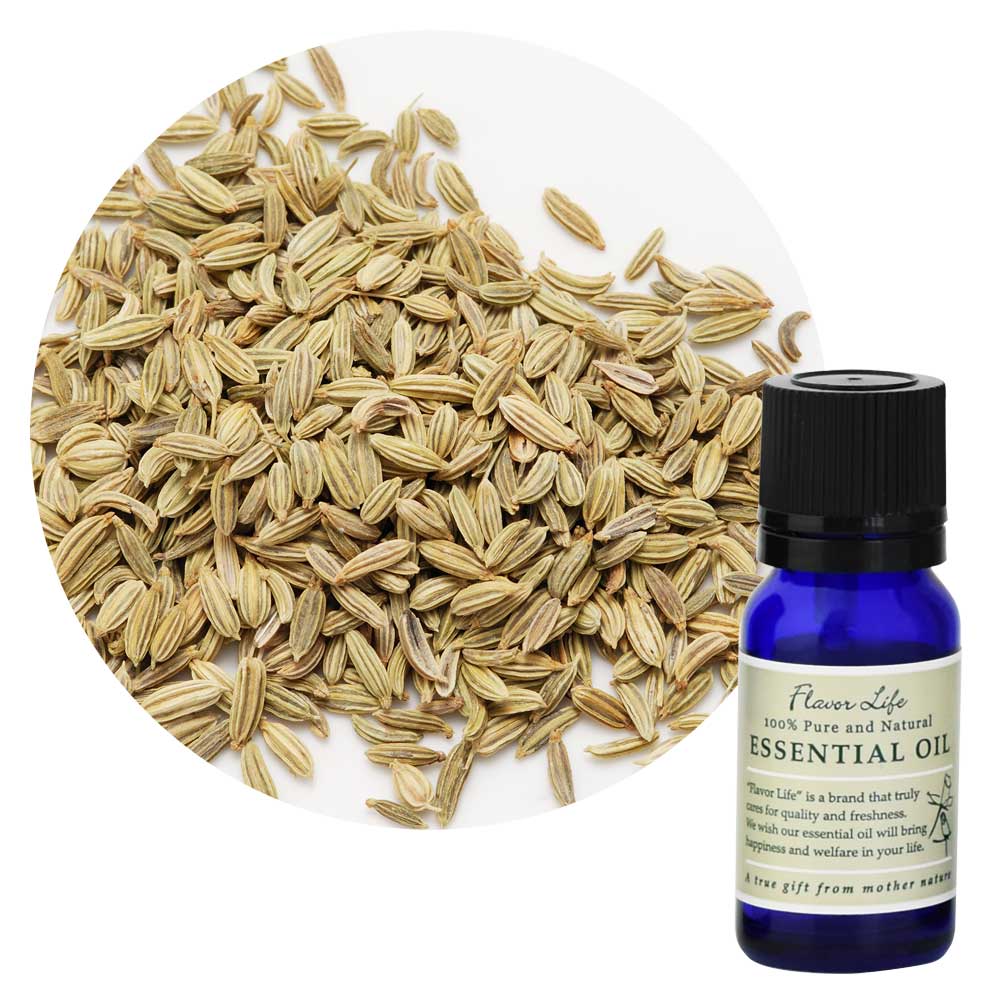 ڥե졼С饤աۥեͥ