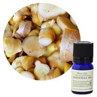 ������������ժ