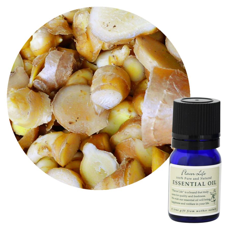 ������������ժ