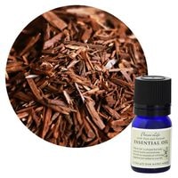 �ڥե졼�С��饤�աۥ�����륦�åɡ��˥塼����ɥ˥�