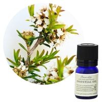 �ڥե졼�С��饤�աۥե饴�˥�