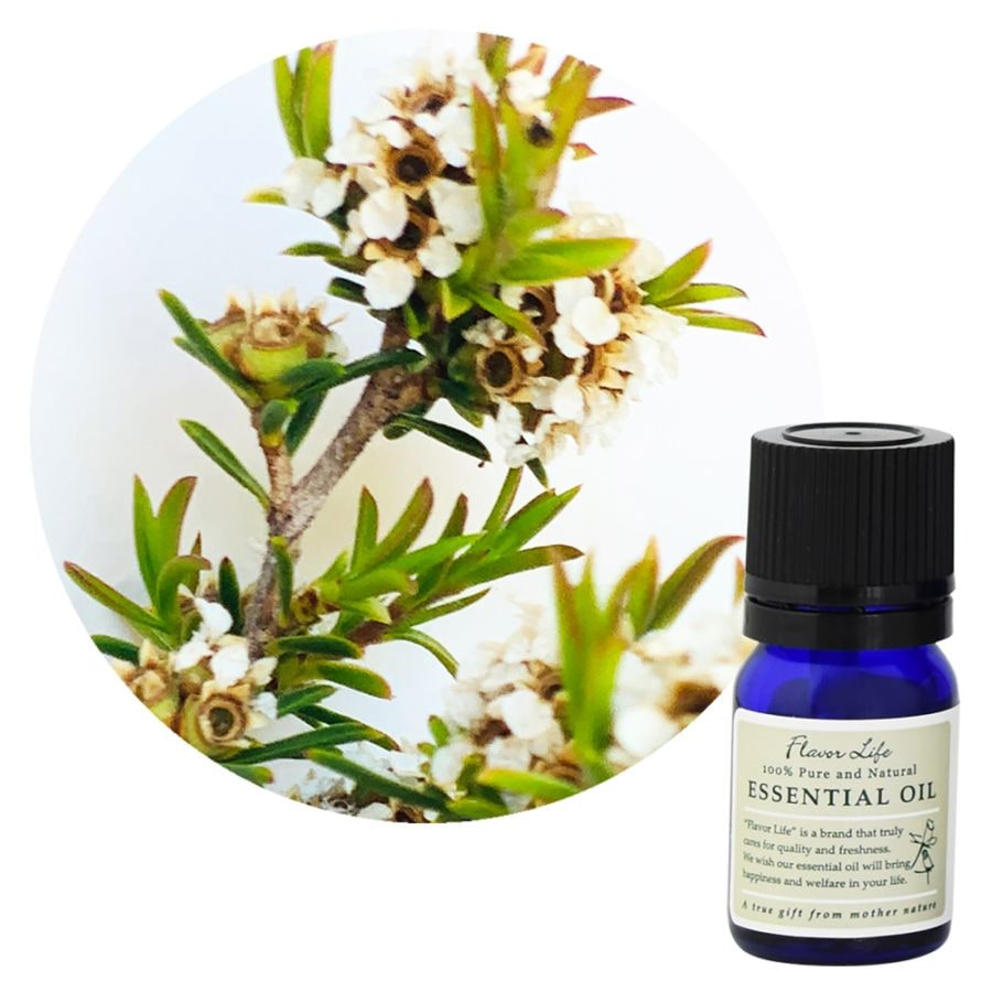 �ڥե졼�С��饤�աۥե饴�˥�