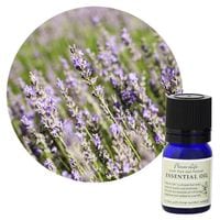 �ڥե졼�С��饤�աۥ�٥���������֥���塼��