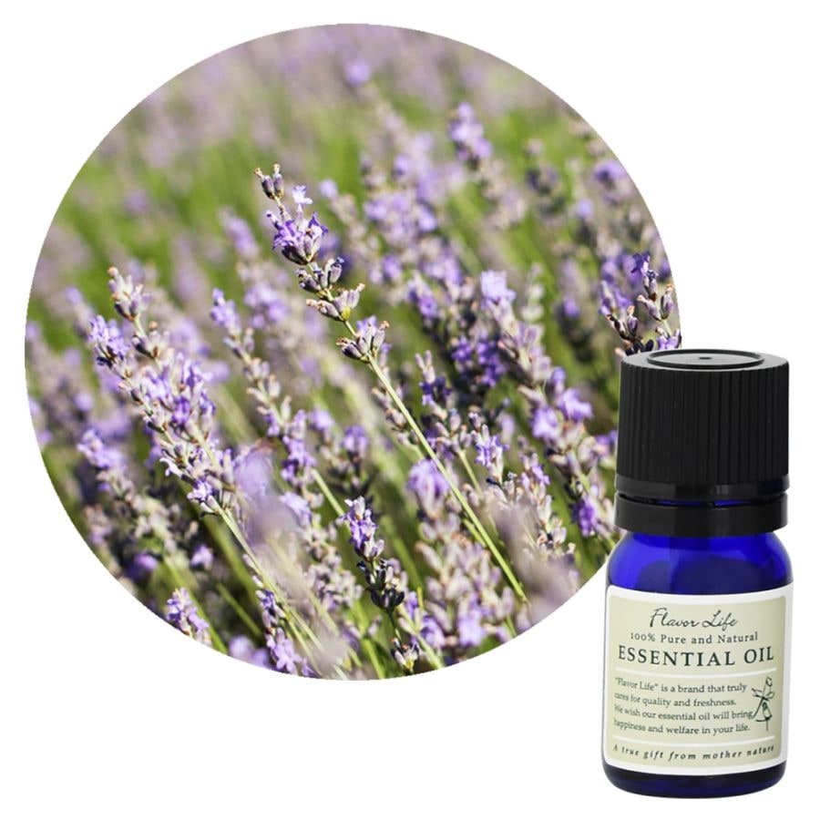 �ڥե졼�С��饤�աۥ�٥���������֥���塼��