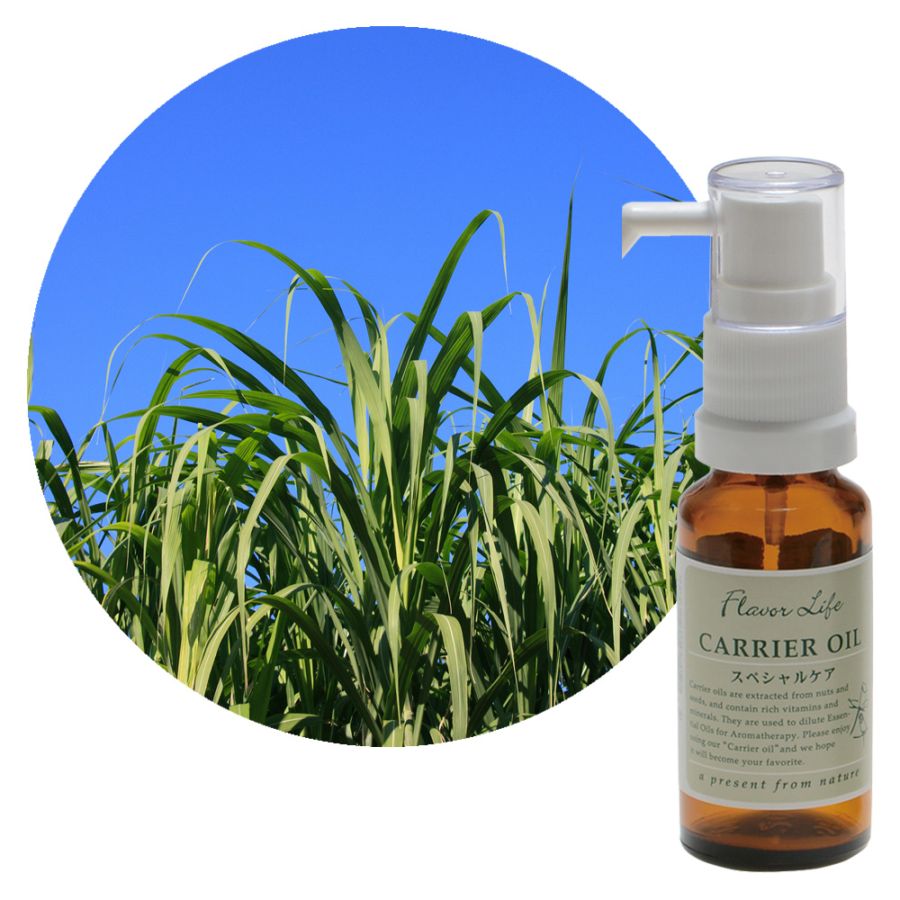 �ڥ���ꥢ������ۥ��奬����������