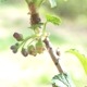 ڥե졼С饤աۥ֥åȡ֥塼ȡ10