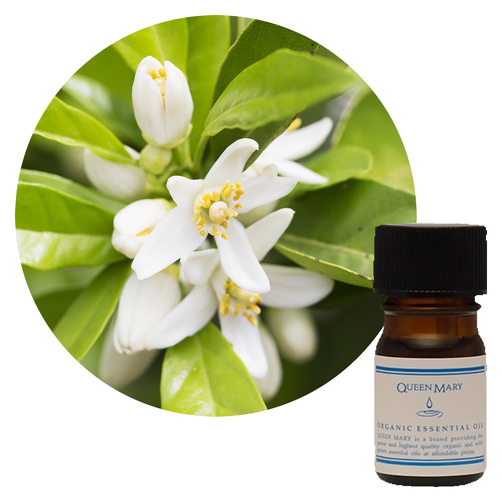 フレーバーライフ社 クイーンメリー 精油 ネロリ 3ml - フレーバーライフ社 クイーンメリー】ネロリ｜エッセンシャルオイル（精油・アロマオイル