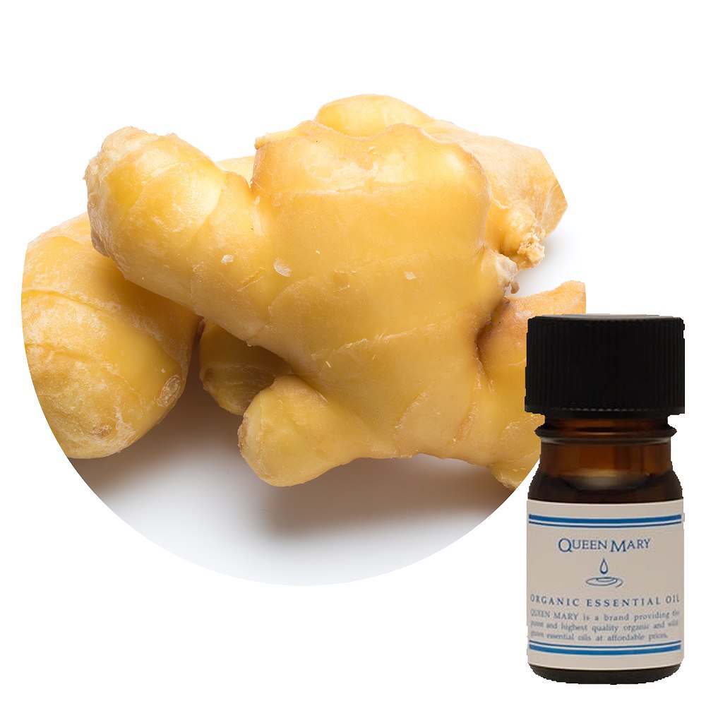 クイーンメリー ジンジャー エッセンシャルオイル 精油 アロマオイル の通販ならフレーバーライフ