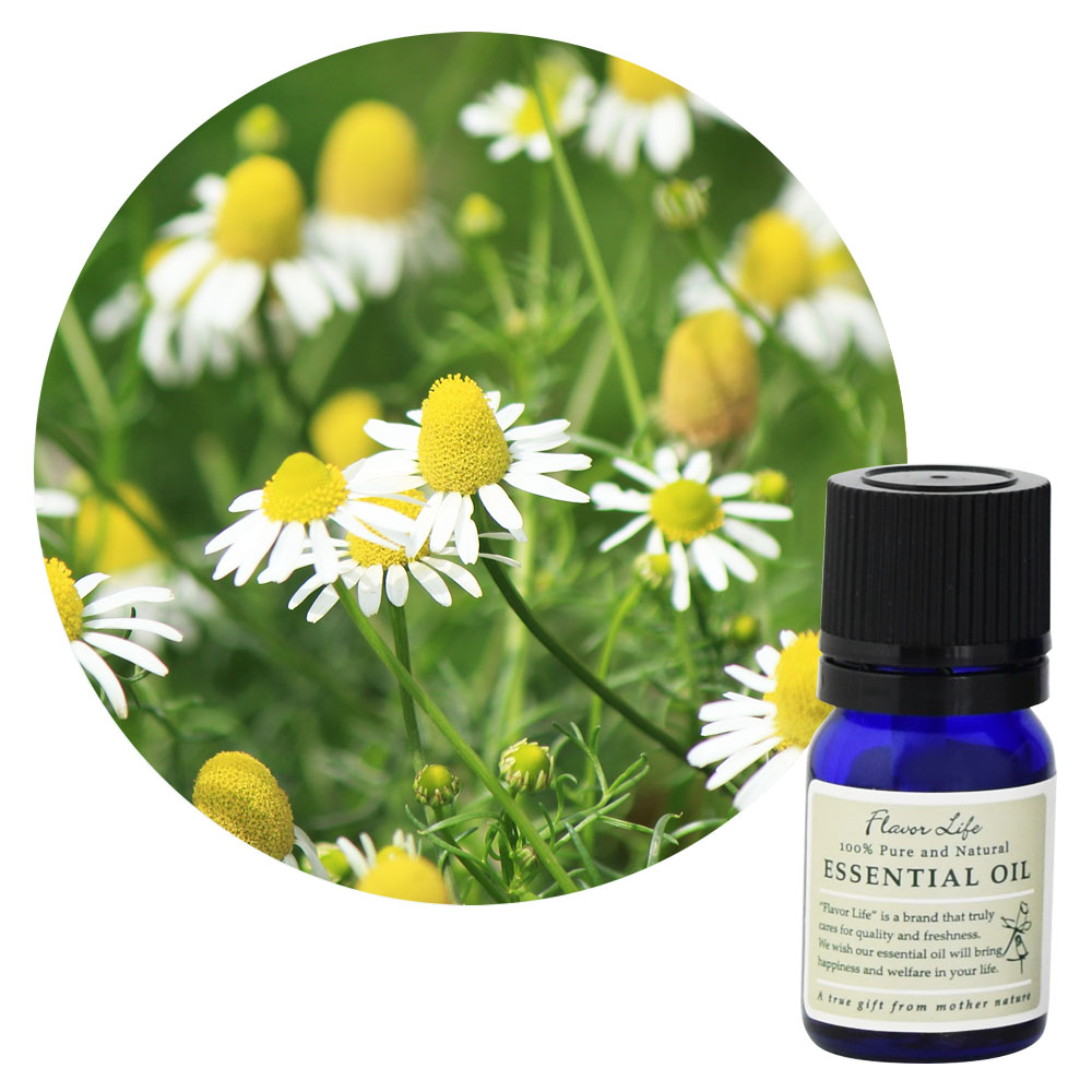 ڥե졼С饤աۥޥ롦㡼ޥ󡿥֥롼