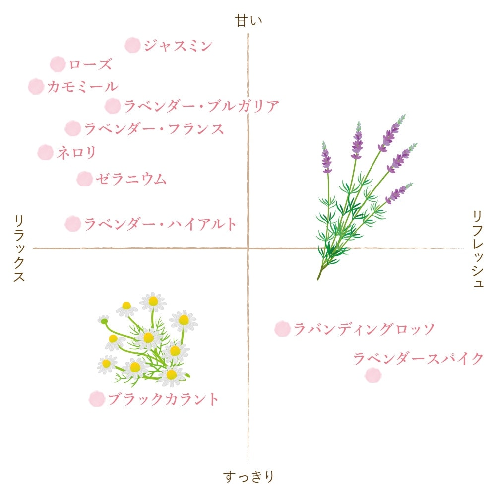 キャリー517様　プラナロム カモマイルローマン他　合計5点　精油 カモマイル・ローマン [5ml] | perfume onlineshop