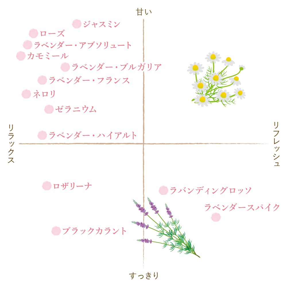 �ڥե졼�С��饤�աۥ�٥���������ѥ���