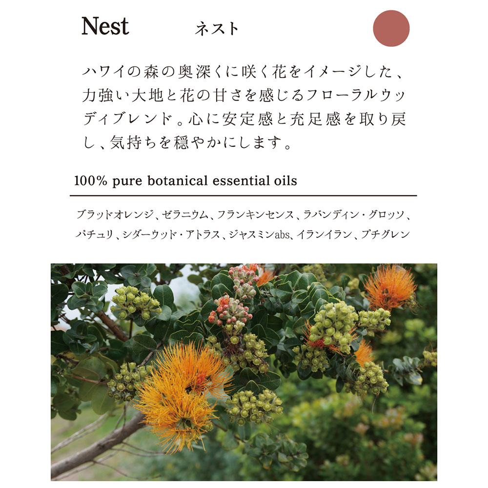 lea..さん専用 Trick Denimボーイズストレート